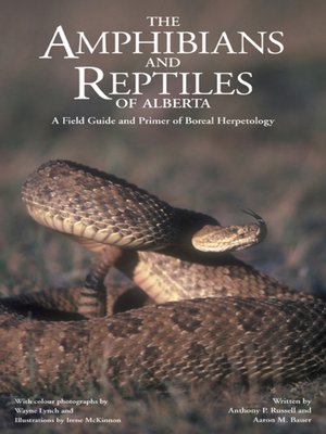 cover image of The Amphibians and Reptiles of Alberta